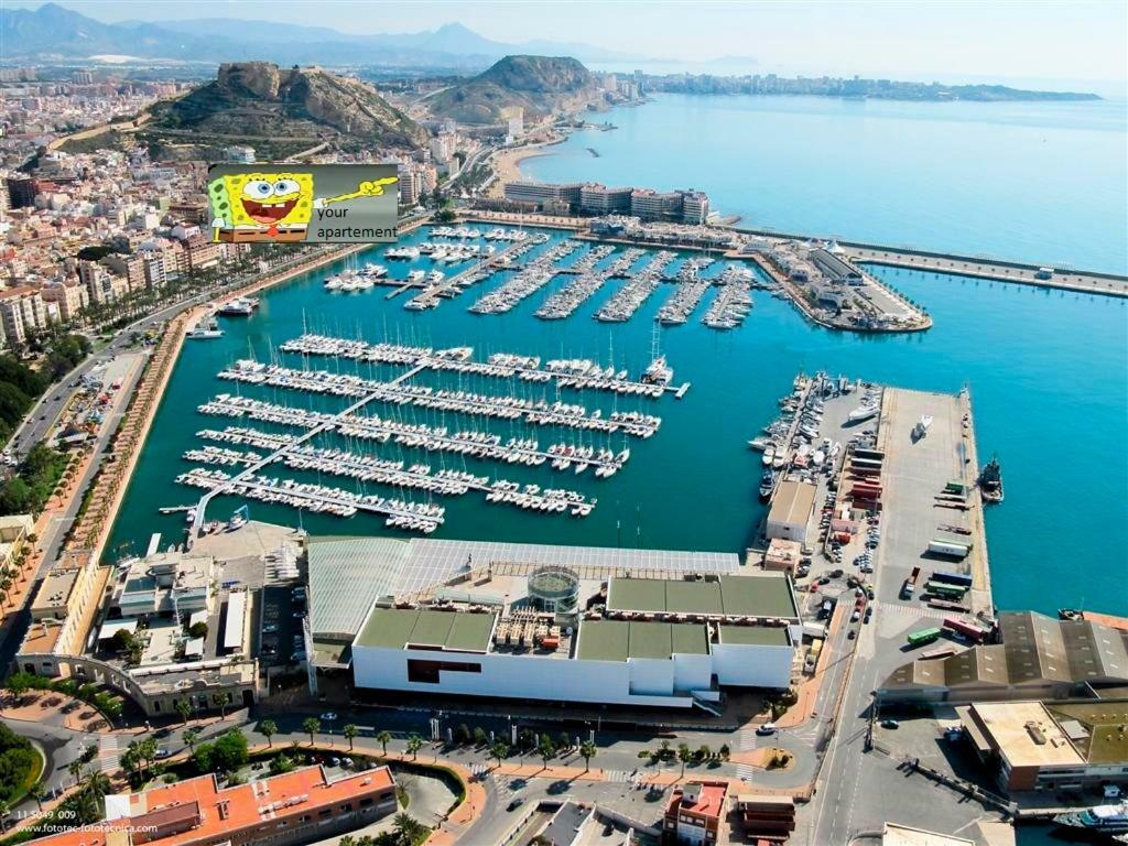 Beach, City Center And Entertainment Alicante Zewnętrze zdjęcie